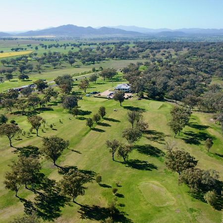 Quirindi Sunflower Motor Inn מראה חיצוני תמונה