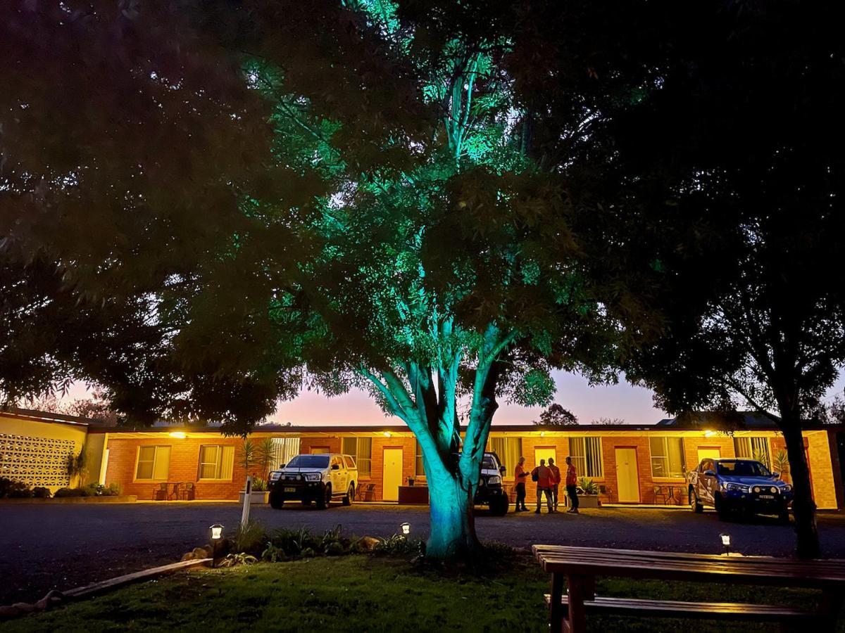 Quirindi Sunflower Motor Inn מראה חיצוני תמונה